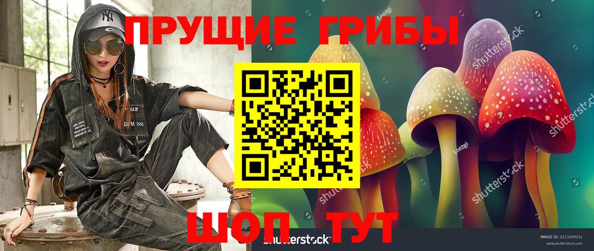 Псилоцибиновые грибы прущие грибы Сердобск